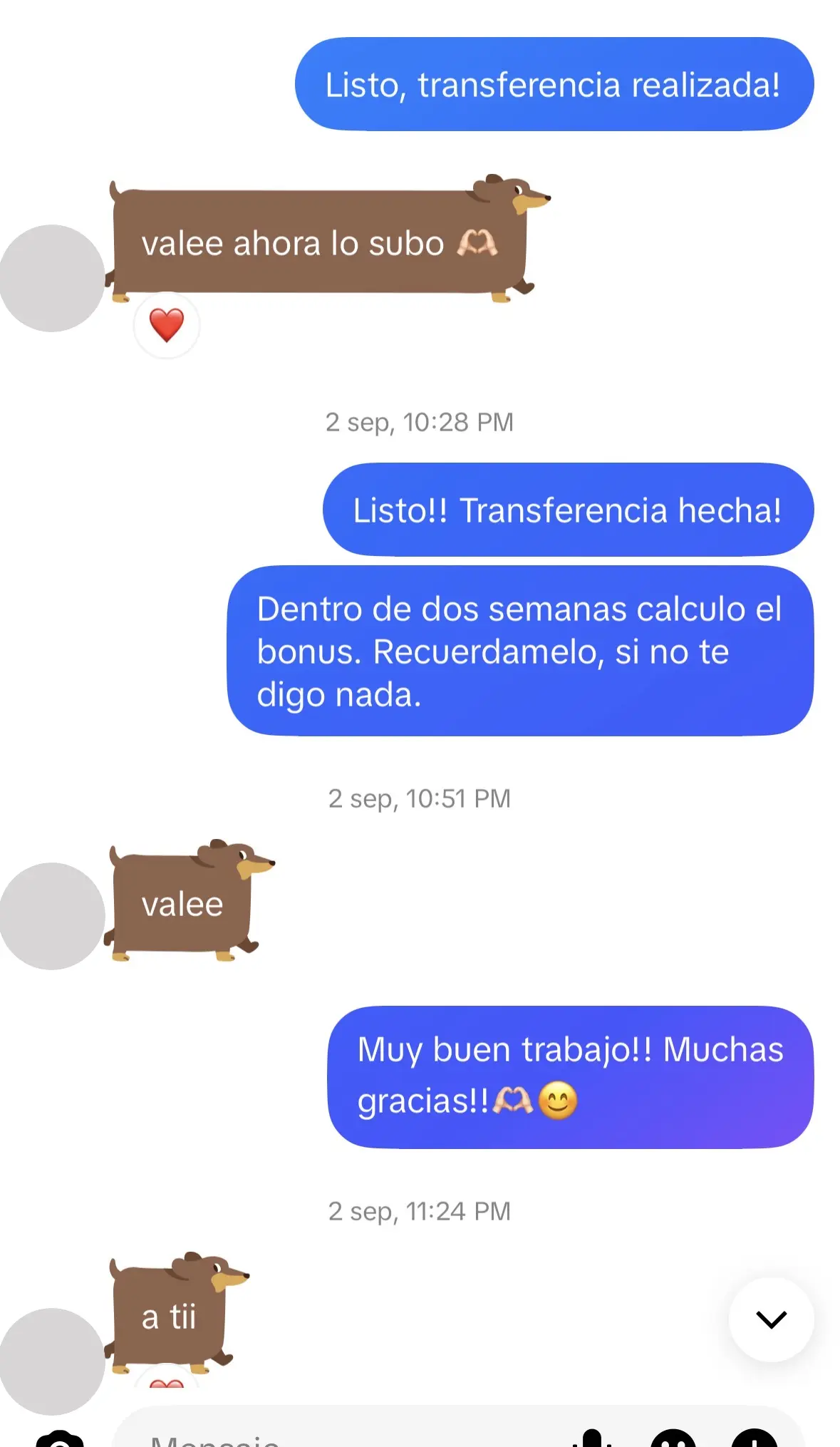 Conversación anonimizada del proceso y la publicación